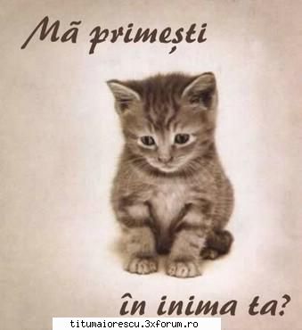 ...:::Imagini Kre Reprezinta Dragostea:::... - ia z ma primejti - Love just....Love